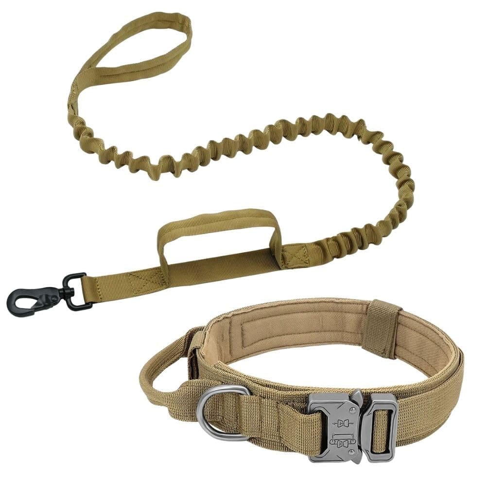 PLEAVIT 犬 首輪 リード 犬の首輪とリード セット 中型犬 大型犬 伸縮 ショック吸収 散歩