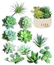 S.fields.inc 人工多肉植物セット 造花 ミニ 人工観葉植物 フェイクグリーン サボテン 鉢無し 偽物植物