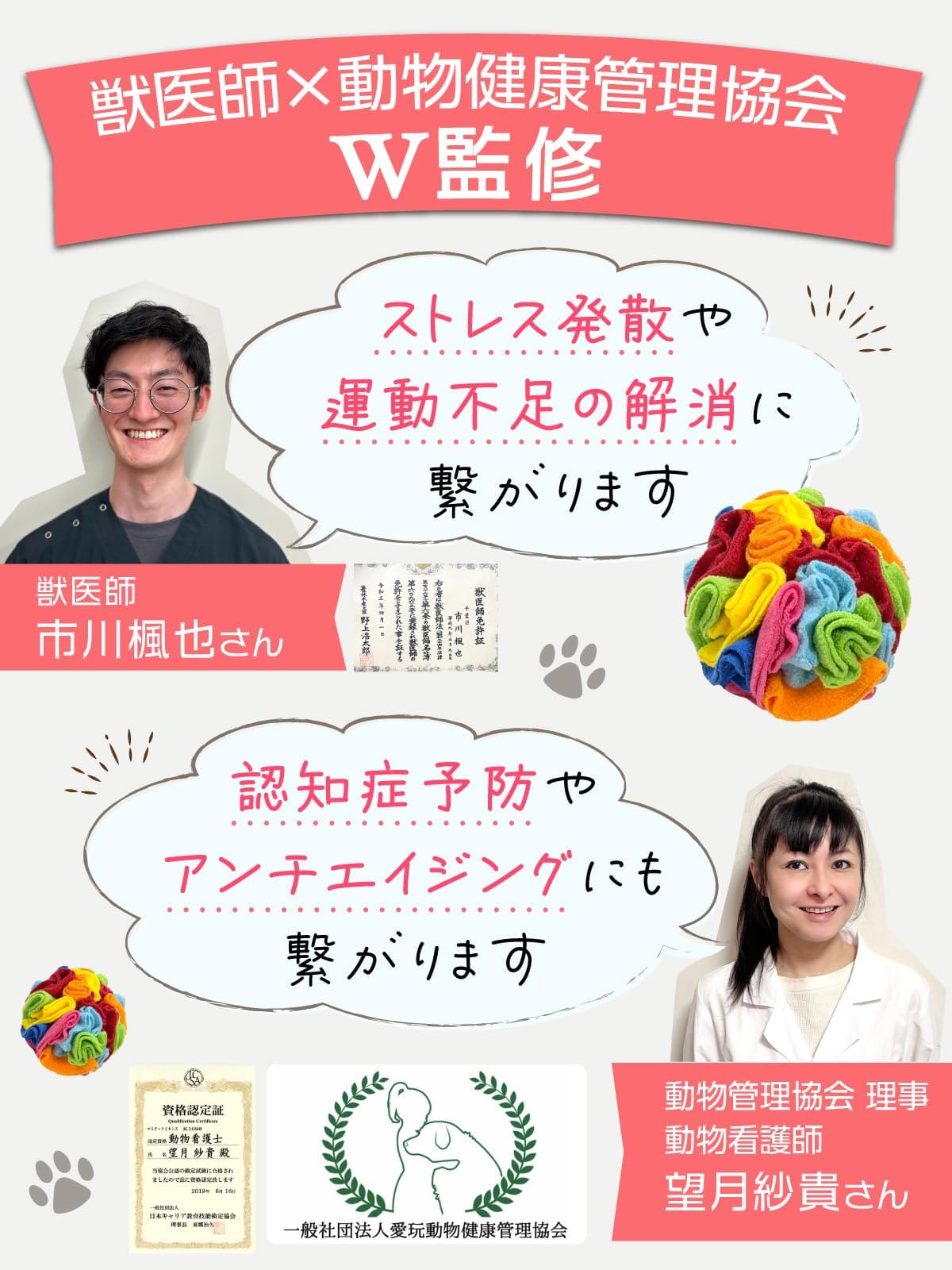 【獣医師×動物健康管理協会監修】 ノーズワーク （小型犬専用）『【トイプー2匹の...