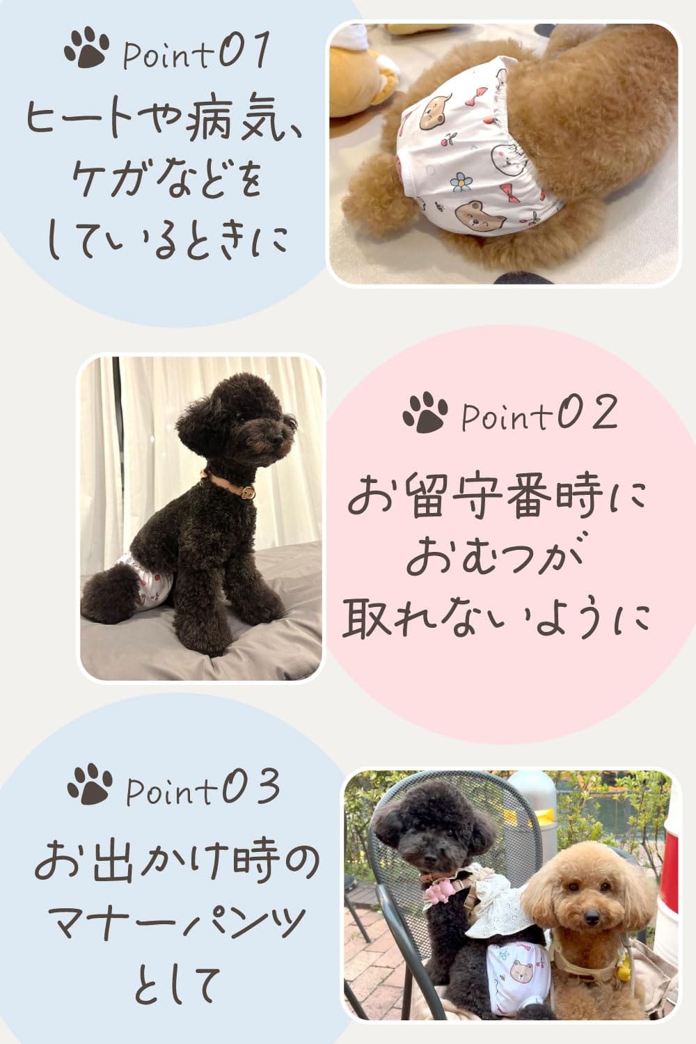 わんこのおむつカバー 小型犬の女の子用【トイプー2匹の愛犬家監修】3枚セット 『お留守番時のおむつが取れて大惨事になる前に！』ヒートやマナーパンツにも使用可能