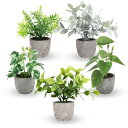 adzu 卓上フェイクグリーン 観葉植物 造花 インテリア ミニ 光触媒 置物 おしゃれ fake plant green 緑 水やり不要 ギフト セット