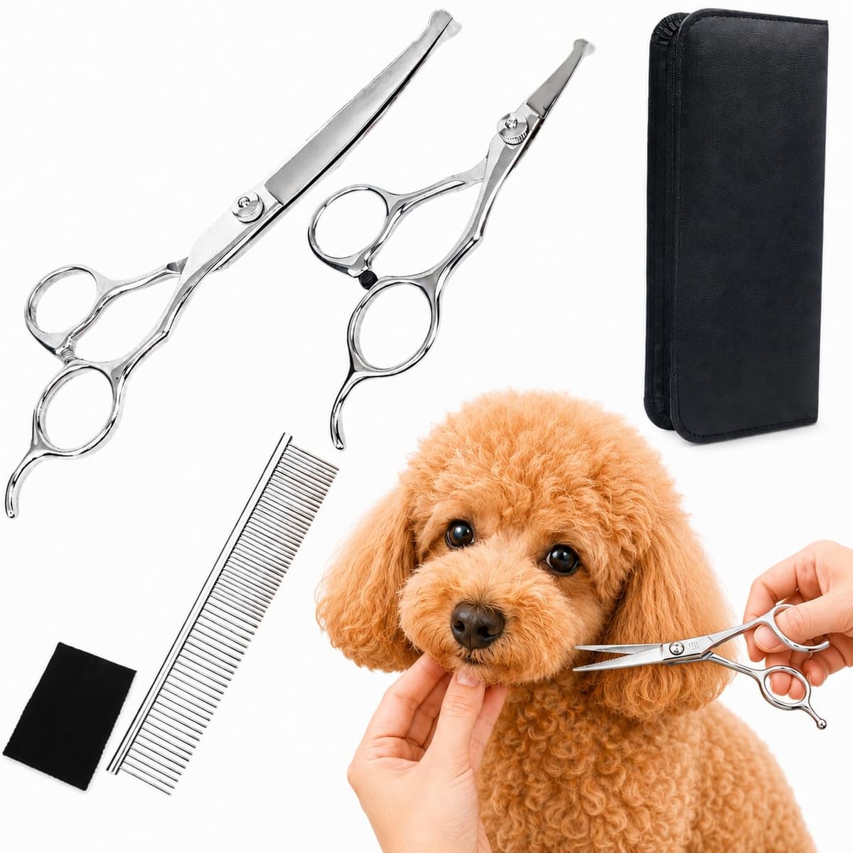 Alpha Depot トリミングハサミ 犬 猫 ペット用 2本セット カーブシザー ＆ ミニ はさみ 丸い刃先 安全 顔まわり 足まわり 肉球 目元 お手入れ ケース コーム クロス 付き トリミングスターターセット 初心者