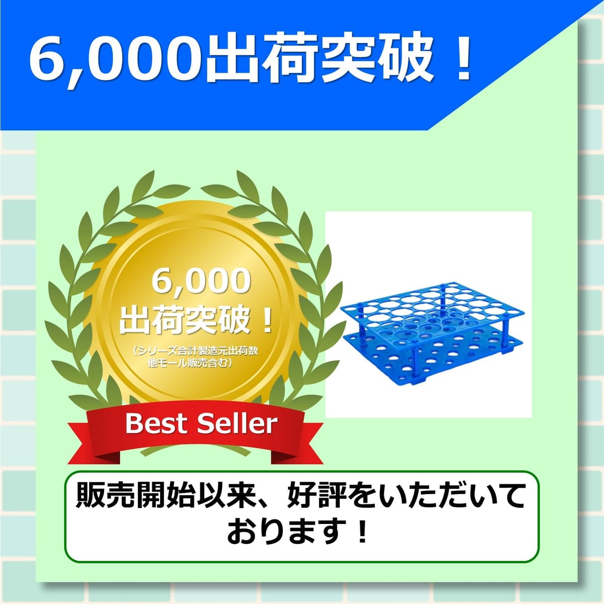 Web shop 8tailの試験管立て 試験管ラック 遠沈管ラック チューブラック 試験管ホルダー 試験管台 プラスチック 実験用 研究用 理科実験 ラボ用品 ブルー｜アングル2