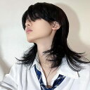 hjnet ウィッグ メンズ ロング ウルフ 小顔 自然 wig かつら 黒髪 男女兼用 男装 コスプレ ストレート(4)