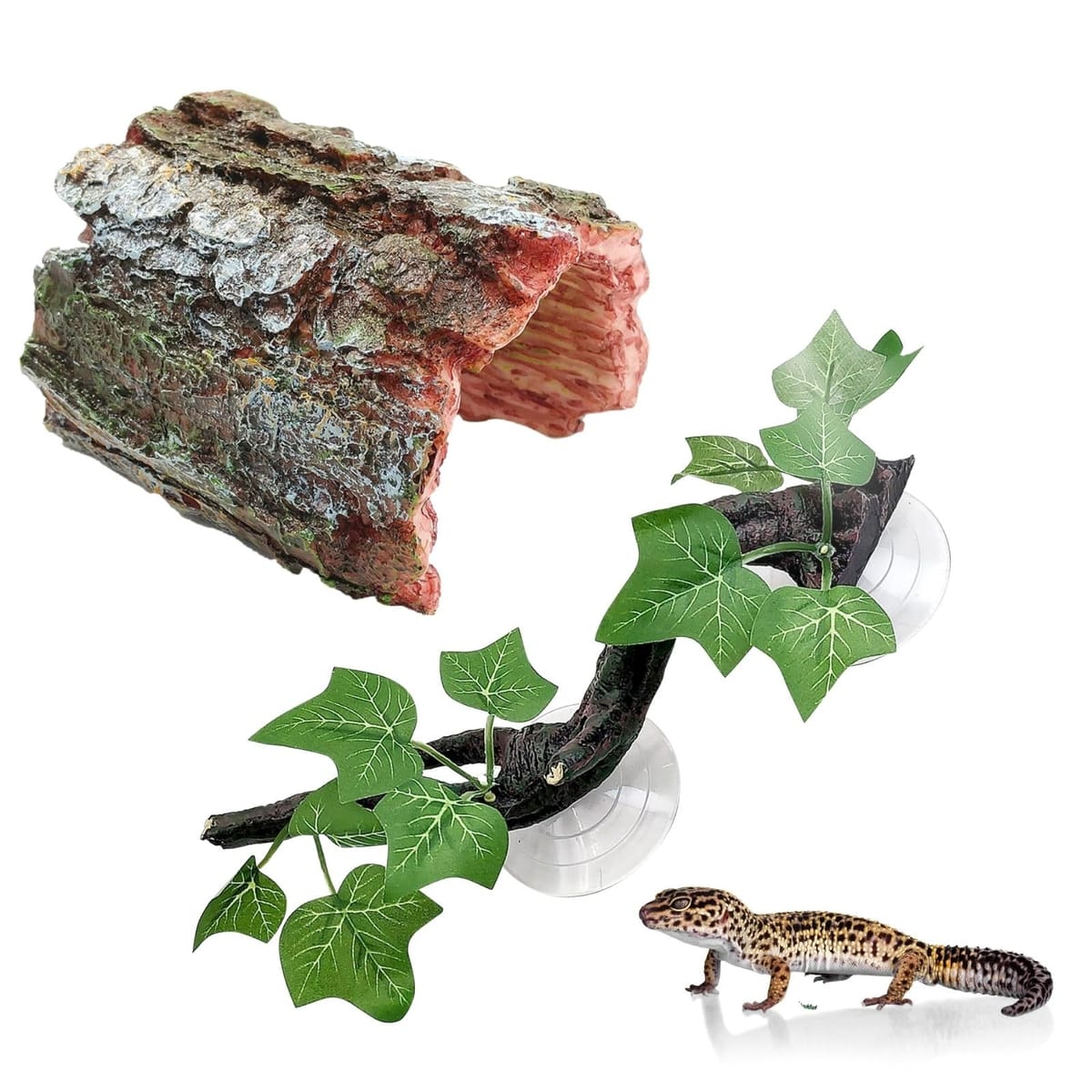 Archnote 爬虫類 シェルター レオパ トカゲ カナヘビ ヤモリ 隠れ家 流木 登り技 樹皮 トンネル テラリウム セット