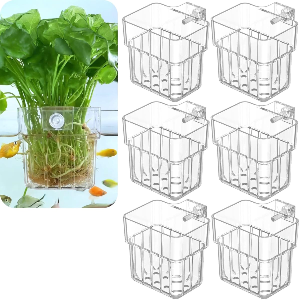 天玉堂 水槽プランター 植物ホルダー 透明カップ フック式 アクアポニックス アクアリウム 6個セット