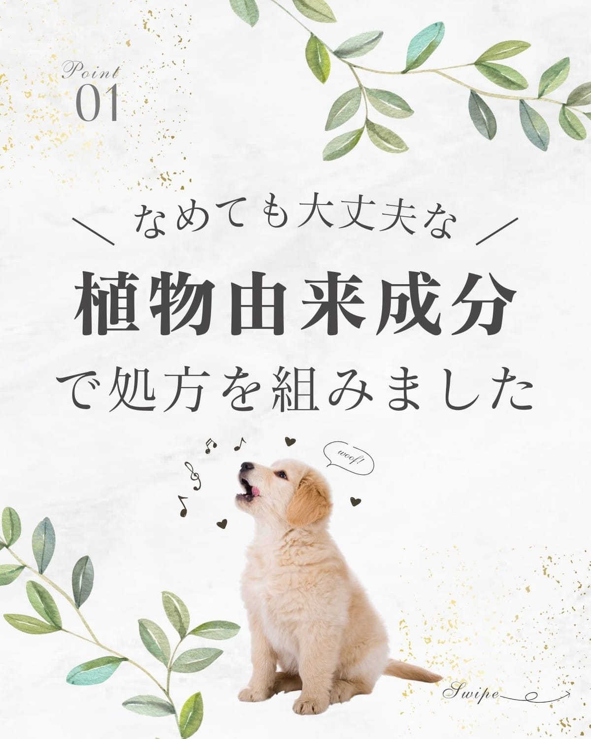犬 猫 イヤークリーナー 耳道内 消臭 除菌 耳洗浄液 100ml 日本製 「なめても大丈夫、低刺激 耳 洗浄 」 THE ANIMAL ORGANICS ペット用 耳のケア