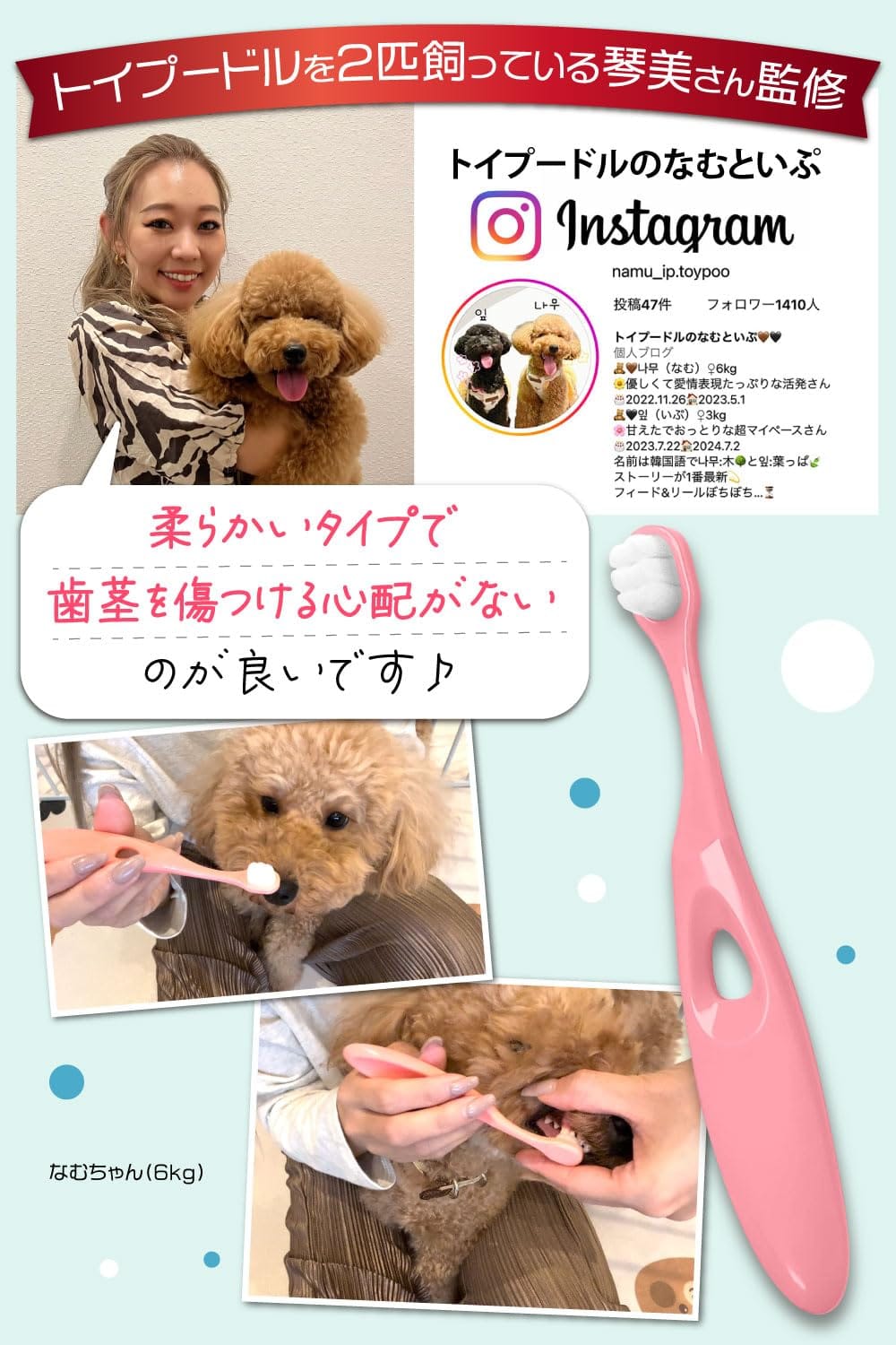 ��󤳤λ��֥饷�ʾ��������ѡˡڥȥ��ס�2ɤ�ΰ����ȴƽ�x�˺٤ǻ��Ԥ���Ĥ��ʤ����եȥ����ס�4�ܥ��å�x������3kg�����Ѳ�ǽ
