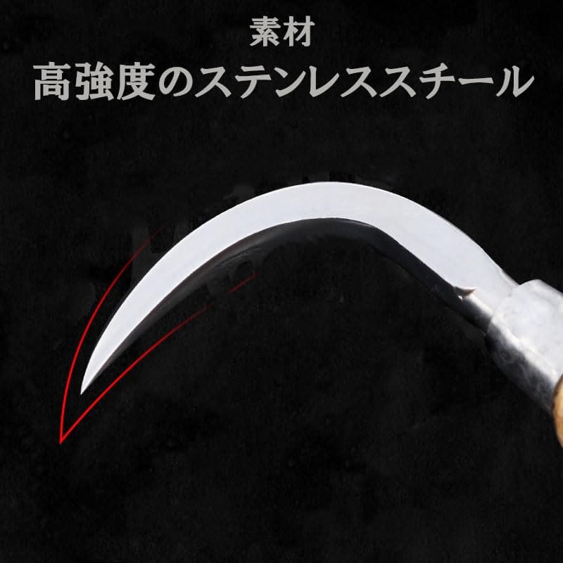 Thujopsis ���� �Υ� ������ �����ߥ� ĥ���ؤ� ���� ����� Ǿ���� ��Ĺ168mm ���Ӥˤ���