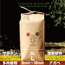 GREAT MIX CULTURE SOIL 【LARGE】3L 6mm-18mm サボテン 多肉植物 コーデックス パキプス ホリダス エケベリア ハオルチア ユーフォルビア アガベを対象とした国産プレミアム培養土