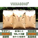【送無】VIIIXAGONO 超硬質焼成培養土 10L×3 細粒 極小粒 小粒 粒サイズ変更可能 サボテン 多肉植物 アガベ パキプス ホリダス