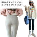 【送料無料】 裏起毛タイツ 裏起毛レギンス トレンカ まるで履く毛布 あったか パンツ 裏起毛 インナー レディース 防寒 10分丈 厚手 裏ボア 暖かい ハイウエスト 動きやすい 伸縮性 抜群 レギパン ストレッチ ルームウェア 部屋着 極厚 極暖