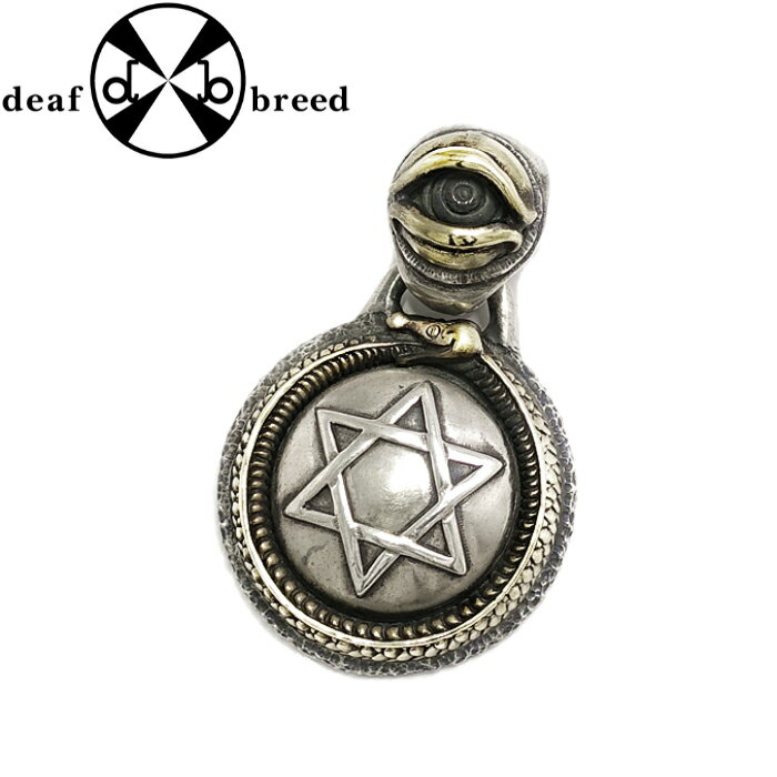 【SECT セクト】ST-9 シルバーアクセサリー 真鍮 ペンダント メンズアクセサリー 目 目玉 六芒星 宗派 個性的