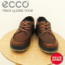 ★11/25限定!P最大40倍&最大100%ポイントバック!?【返品交換送料無料】ECCO エコー TRACK 25 GORE-TEX M トラック 25 メン...