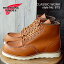 4/18ꡪP20.5ܡץȥ꡼ʸ̵RED WING åɥ 875 CLASSIC WORK 6