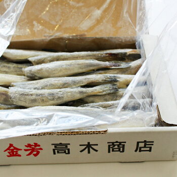 送料込　北海道産 一夜干し こまい 800g×2箱 北海道限定 土産 お取り寄せ プレゼント クリスマス バレンタイン ホワイトデー 転勤 引越 進学 入学 ギフト 母の日 父の日 お返し