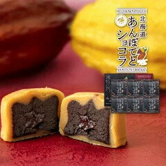 わかさいも本舗　北海道　あんぽてとショコラ　6個入　生菓子　チョコレート　さつまいも　お取り寄せ　お土産 2