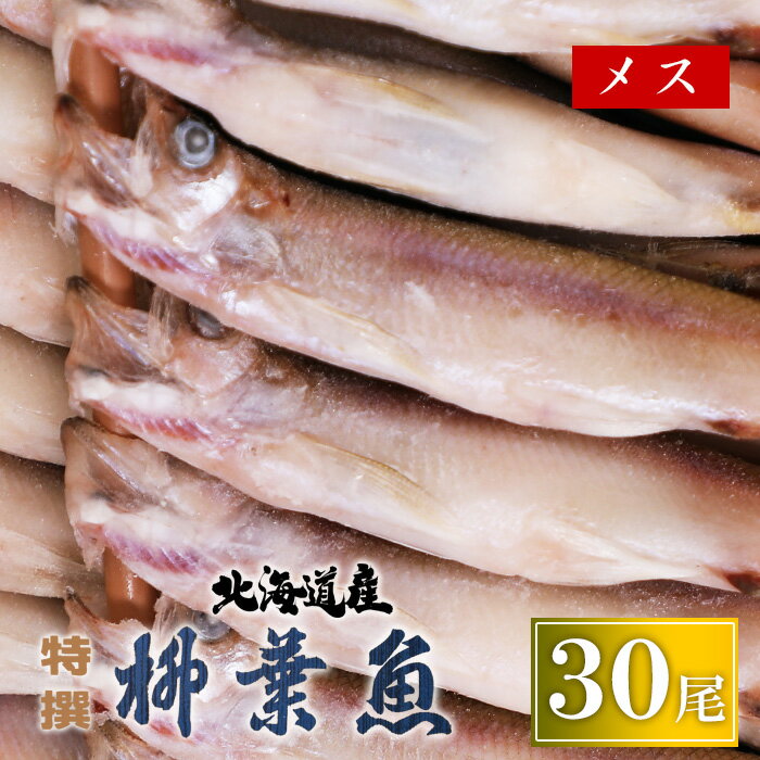 北海道産 特選 生干 柳葉魚 メス 30尾 送料無料 葛西水産 釧路 名産 ギフト 熨斗 お土産 人気 ししゃも..