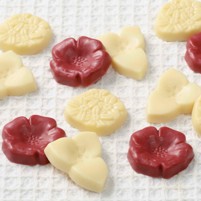 六花亭 六花の森 チョコレート (ハマナシ4個、オオバナノエンレイソウ4個、エゾリュウキンカ4個) 北海道お土産 お取り寄せ 贈り物 お返し 大量 子供 プチギ...