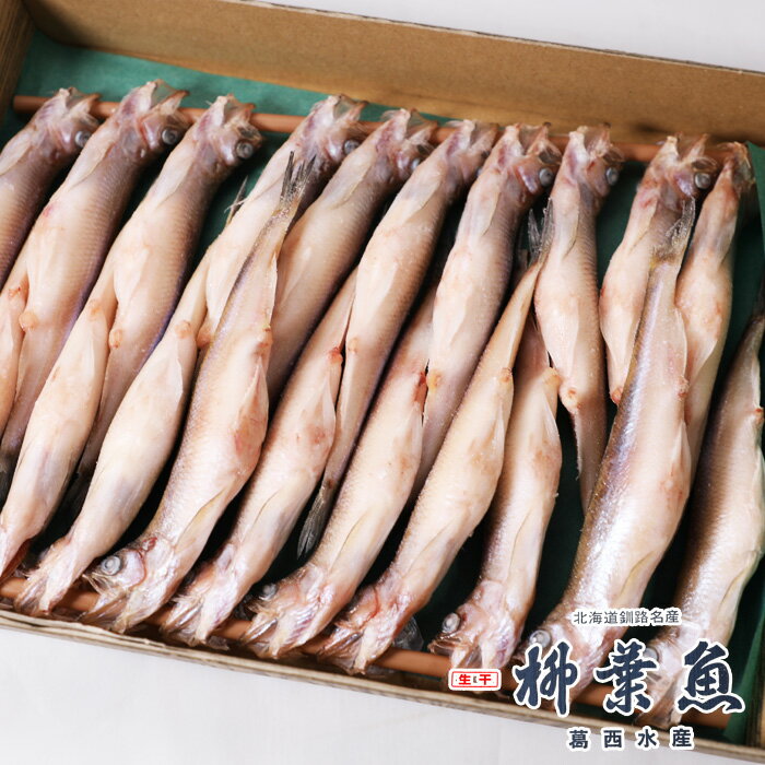 北海道産 生干 柳葉魚 メス 20尾 葛西水産 釧路名産 ギ