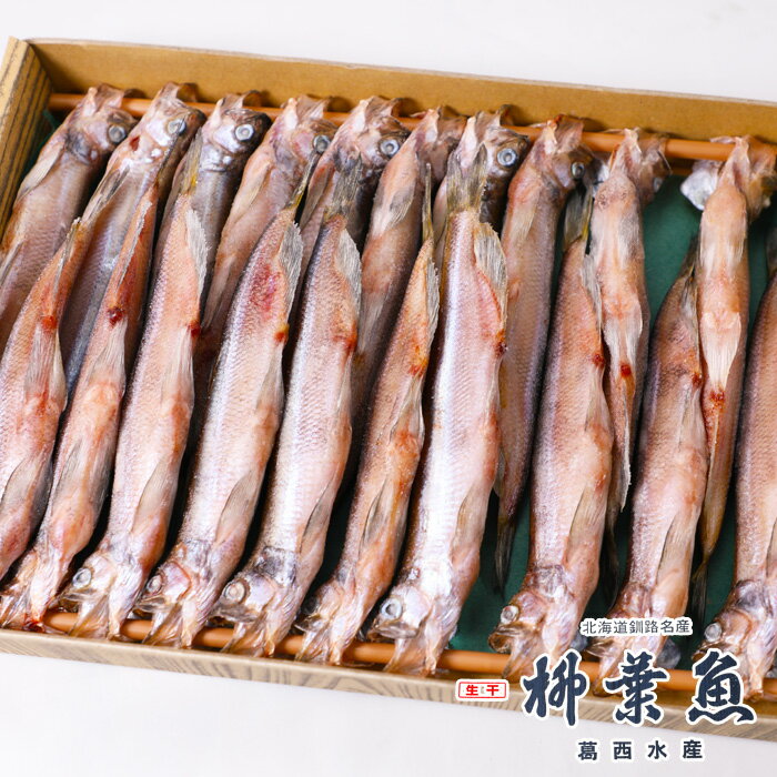 北海道産 生干 柳葉魚 オス 20尾 葛西水産 釧路名産 ギフト 熨斗 お土産 人気 ししゃも シシャモ