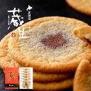 蔵生 ミルク 生チョコ サブレ 6枚入the Sun 蔵人 北海道 お土産 小麦粉 ビートグラニュー糖 銘菓 ギフト お返し お礼 お菓子 もちもち チョコレー...