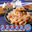 業務用 函館 いか塩辛 飲兵衛 100g×40袋 パックタイプ 送料無料北海道 イカ ミミ 小分け ギフト 塩から 珍味 おつまみ 酒の肴 冷凍 産地直送 丸心...
