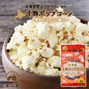 北海道産 とうもろこし使用 前田農産 十勝ポップコーン 黄金のとうもろこし畑から 選べる個数! 1袋から10袋 送料無料 (4袋まで)メール便 ポスト投函便 卒...