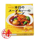 ベル食品 大泉洋 本日のスープカレ