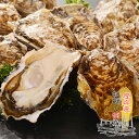 送料無料 北海道厚岸産 殻付き 生牡蠣 10個 Lサイズ(95gから130g)/ 産地直送 同梱不可商品 【冷】 / カキ 海産物 発砲スチロール梱包 冷蔵発送...