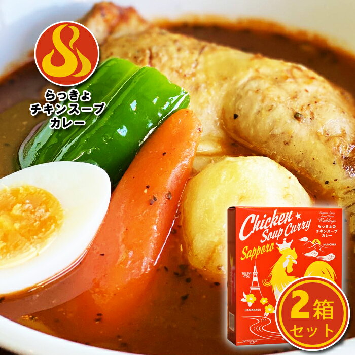 らっきょ 北海道 札幌スープカレー チキンカレー 560g×2個セット 送料無料レトルト お土産 カリー かれー スパイス 最高 ごはん ごろっと 野菜 具材入食品 タンゼン ギフト マツコの知らない世界