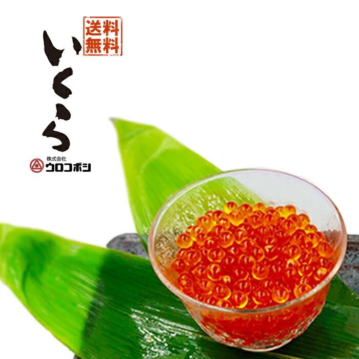 いくら醤油漬け送料無料500g(250gtimes;2)ウロコボシ北海道釧路市味付イクラ正油しょうゆふるさとの味魚卵鱒海鮮丼海産物鮭訳あり(箱なしパック状態)19358