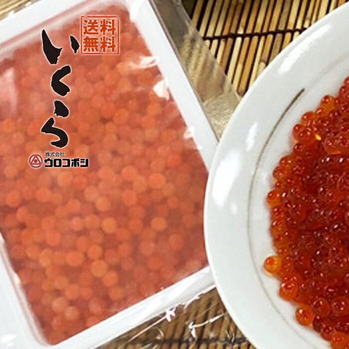 いくら醤油漬け送料無料500g(250gtimes;2)ウロコボシ北海道釧路市味付イクラ正油しょうゆふるさとの味魚卵鱒海鮮丼海産物鮭訳あり(箱なしパック状態)19358