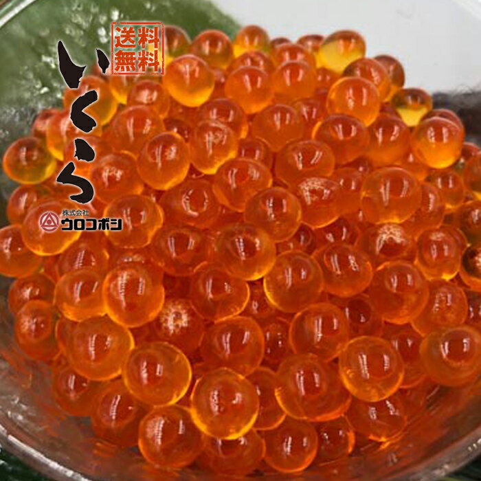 いくら醤油漬け送料無料500g(250gtimes;2)ウロコボシ北海道釧路市味付イクラ正油しょうゆふるさとの味魚卵鱒海鮮丼海産物鮭訳あり(箱なしパック状態)19358