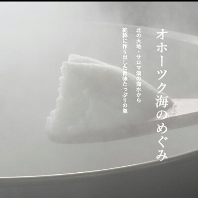 北海道くしろキッチン つらら オホーツクの塩ラーメン 10食セット / 送料無料 / 「ソレダメ」で紹介された北海道物産展の人気お土産 みなみかわ製麺 画像3