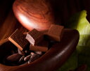 カオの個性や風味を存分にロイズ　生チョコレート　エクアドルスイート
