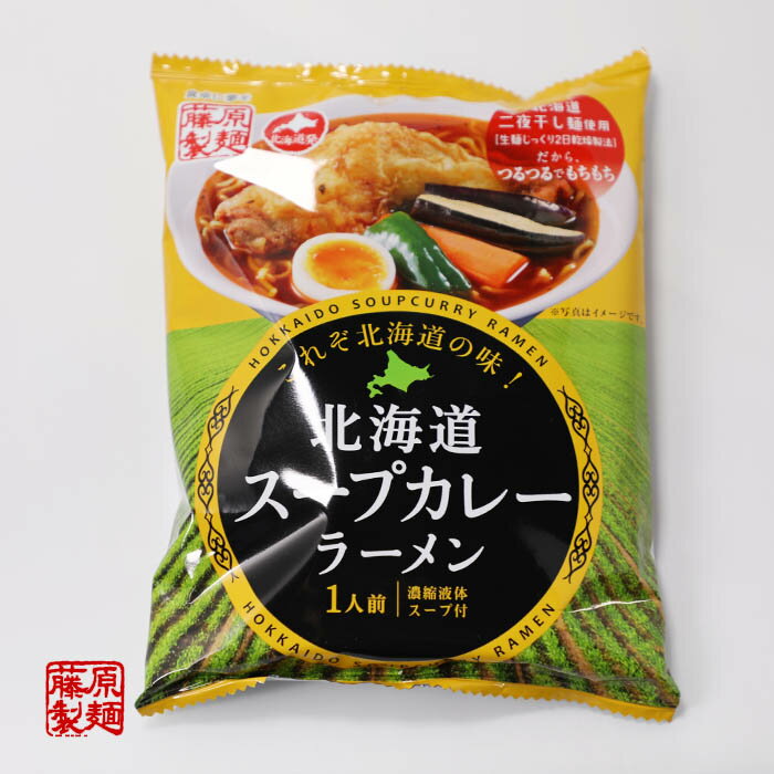 藤原製麺 北海道スープカレーラーメン 10袋セット（濃縮液体スープ付）送料無料 北海道二夜干し麺使用（生麺をじっく…
