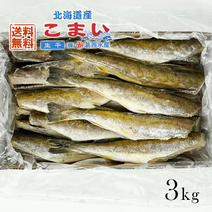 北海道産 こまい 生干し 3kg 送料無料 葛西水産 業務用 お土産 氷下魚 ギフト コマイ 氷下魚 釧路 焼き魚 ギフト 海…