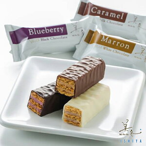 石屋製菓 美冬 3個入 北海道 チョコレート ミルフィーユ ブルーベリー キャラメル マロン 各1個 ishiya お菓子 おみやげ 手土産 小分け ウエハース ギフト 物産展で人気 お礼 お返し ギフト バレンタイン チョコレート 2021 プチギフト 義理チョコ