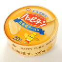 【北海道限定】 亀田製菓 ハッピーターン 北海道チーズ味 20袋