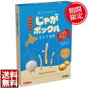 【送料無料あり】じゃがポックル ほたて味 10袋入カルビー お土産 美食 ギフト 定番 人気 北海道銘菓 期間限定 高品質 満足度No1 ホタテ ほたて お取り...