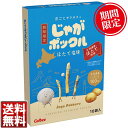 じゃがポックル ほたて味 10袋入カルビー お土産 美食 ギフト 定番 人気 北海道銘菓 期間限定 高品質 満足度No1 ホタテ ほたて