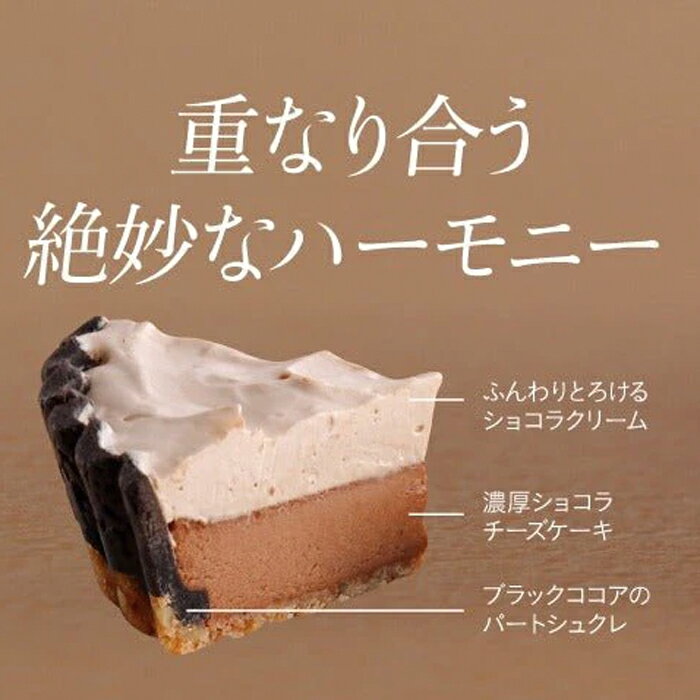 ケーキ 母の日向き（5000円程度） 【送料無料】【2個セット】新谷 ふらの 雪どけ チーズケーキ ショコラ 北海道土産 【凍】 / ベイクドレアチーズケーキ お返し お礼 贈り物 シンヤ しょこら アイス ケーキ プチギフト 父の日 母の日 プレゼント ギフト お中元