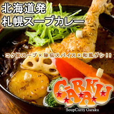 【割引送料込み】【ガラク】 チキン スープカレー × 5個(GARAKUISM -ガラクイズム- )【シルシルミシルさんデーで紹介された人気店】【ご飯のお供 ご飯の友 ご飯のおとも ごはんのお友】