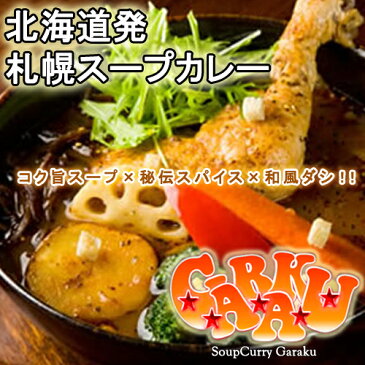 【ガラク】　チキン　スープカレー（GARAKUISM　-ガラクイズム- ）【シルシルミシルさんデーで紹介された人気店】【ご飯のお供　ご飯の友　ご飯のおとも　ごはんのお友】