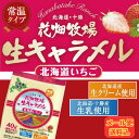 【お得なメール便】北海道限定 花畑牧場 生キャラメル 北海道いちご 小袋 10粒入り【お土産 お手軽 プチギフト ばらまき 有名 喜ばれる贈り物 おやつ お茶菓...