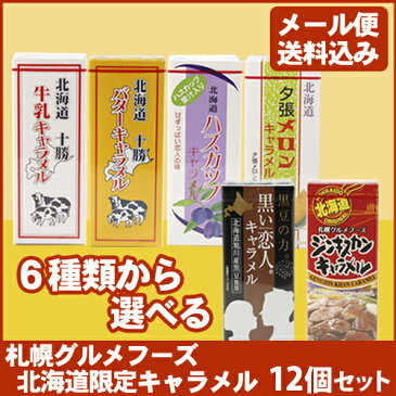 【メール便送料込　代引き不可、同梱不可】「2個づつ選べる お菓子」 北海道限定 グルメフーズ キャラメル 12個 セット【十勝牛乳 北海道バター 夕張メロン 北海道ハスカップ ジンギスカン 黒い恋人】