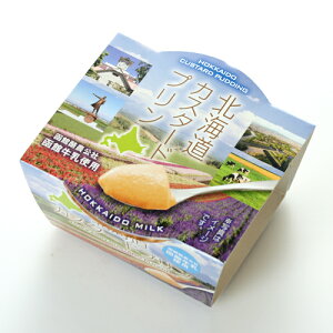 【割引送料込】北海道カスタードプリン24個セット 常温保存可 函館酪農公社 函館牛乳使用