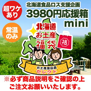 【送料店舗負担】 北海道食品ロス支援企画 超訳あり商品 詰め合わせ 3980円 ミニ箱コース 店長のもったいない箱 mini北海道 ふっこう 福袋 支援 コロナ 在庫処分 訳あり 北海道応援箱 食品ロス 北海道お土産復興福袋 送料無料 フードロス