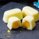 HORI 北海道練乳チョコレート 20粒【ホワイトチョコレート hori バレンタイン チョコ 2024 義理 ばらまき ホワイトデー お取り寄せ 銘菓 ホリ】